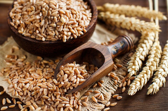 Spelt Grain Nutrition Facts A Comprehensive Guide