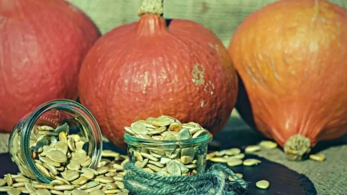 When to plant pumkin seeds