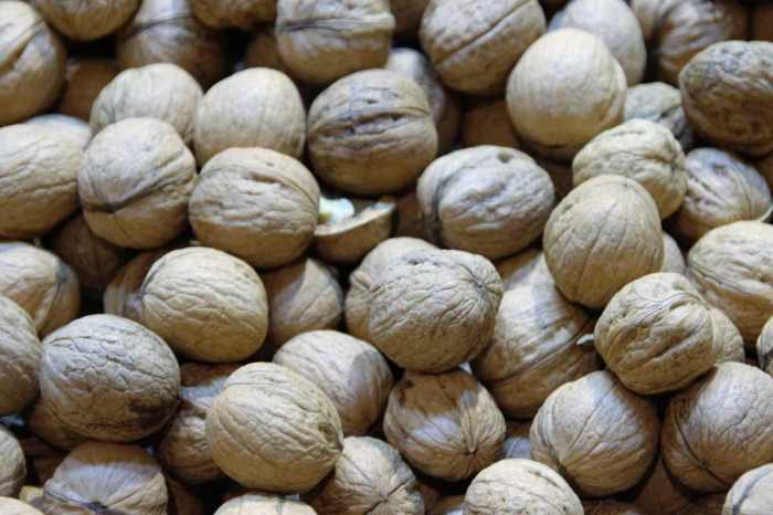 How do you plant a black walnut seed