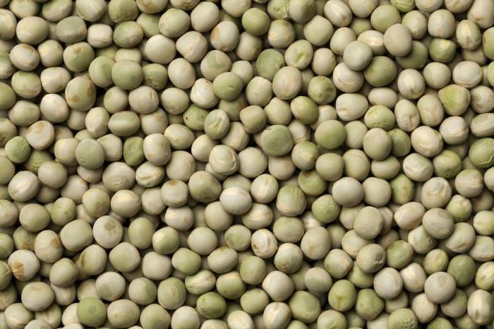 How to plant pea seeds