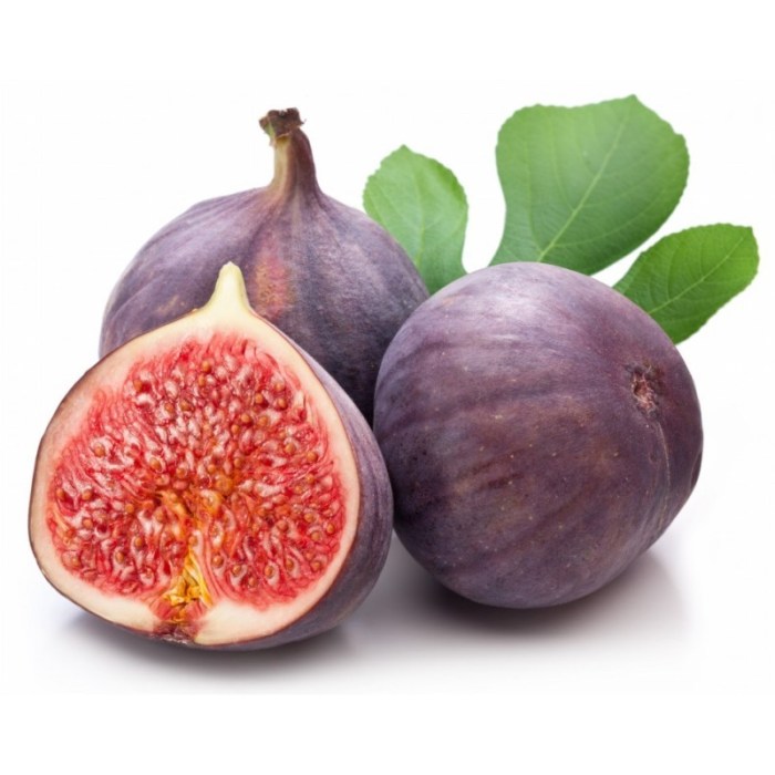 How to plant a fig tree from seed