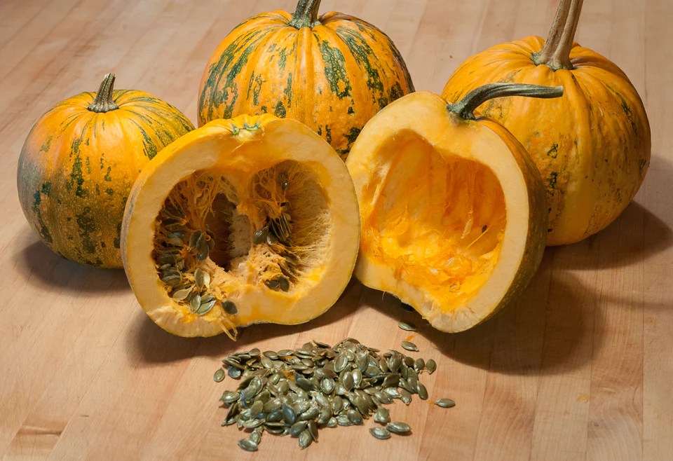 Can you plant pumpkin seeds