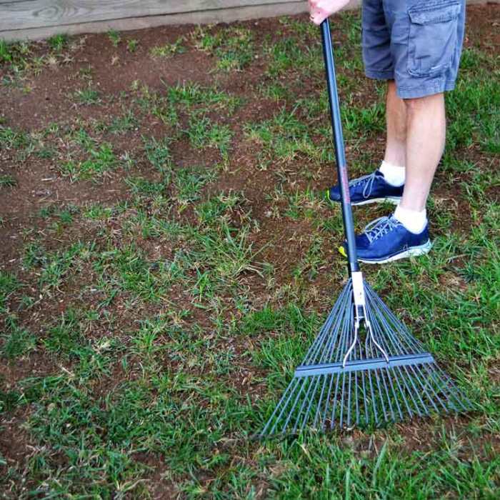 How to plant grass seed in existing lawn